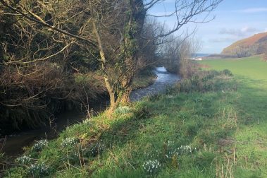 Following the stream down to Aberfforest beach