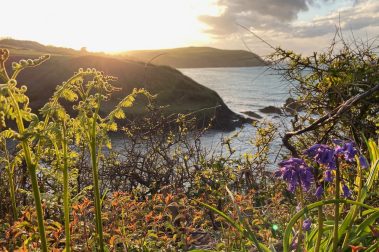 A Spring evening overlooking Aberfforest Bay, with views to Dinas Head.